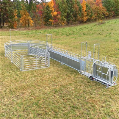 Jgheab de tăiere a copitelor cu galvanizare la cald pentru oi